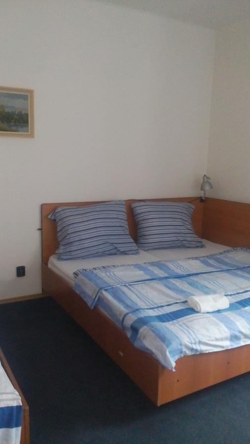 Hotel Britz Velké Hamry Kültér fotó